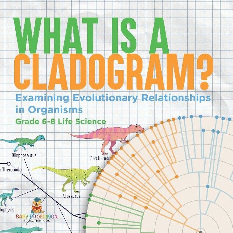 What is a Cladogram? Examining Evolutionary Relationships in Organisms | Grade 6-8 Life Science