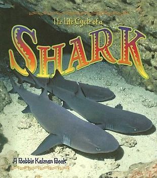 The Life Cycle of a Shark