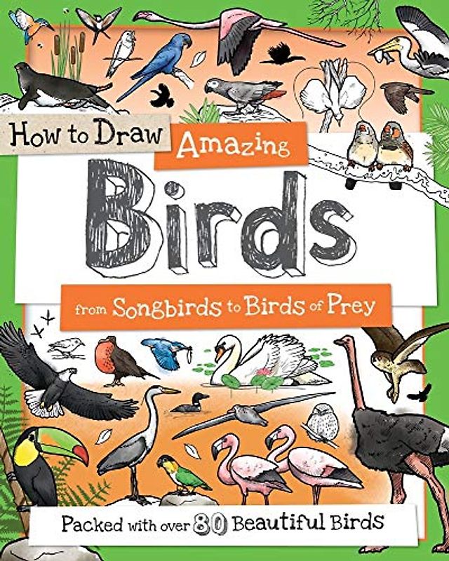 How to Draw Amazing Birds