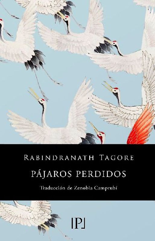 Pájaros perdidos : sentimientos