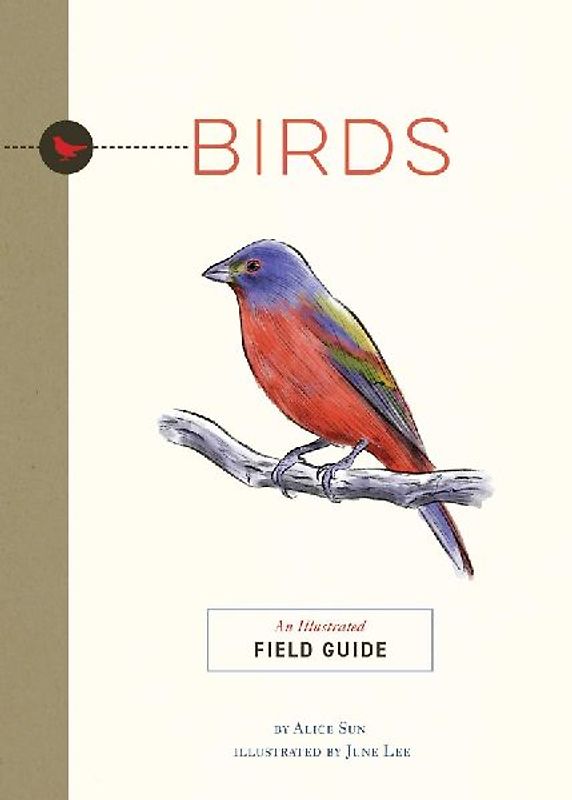 Birds | Softcover