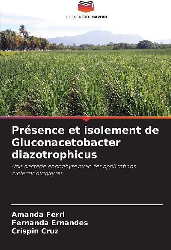Présence et isolement de Gluconacetobacter diazotrophicus