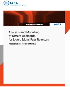 Analysis and Modelling of Severe Accidents for Liquid Metal Fast Reactors