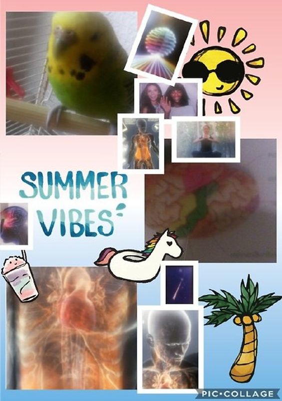 Außerirdische Lebensformen,  der Mars und 2000 Jahre Kirchengeschichte. Botschaft vom Himmel. Kurzgeschichte mit philosophischen Ausblick.Erz