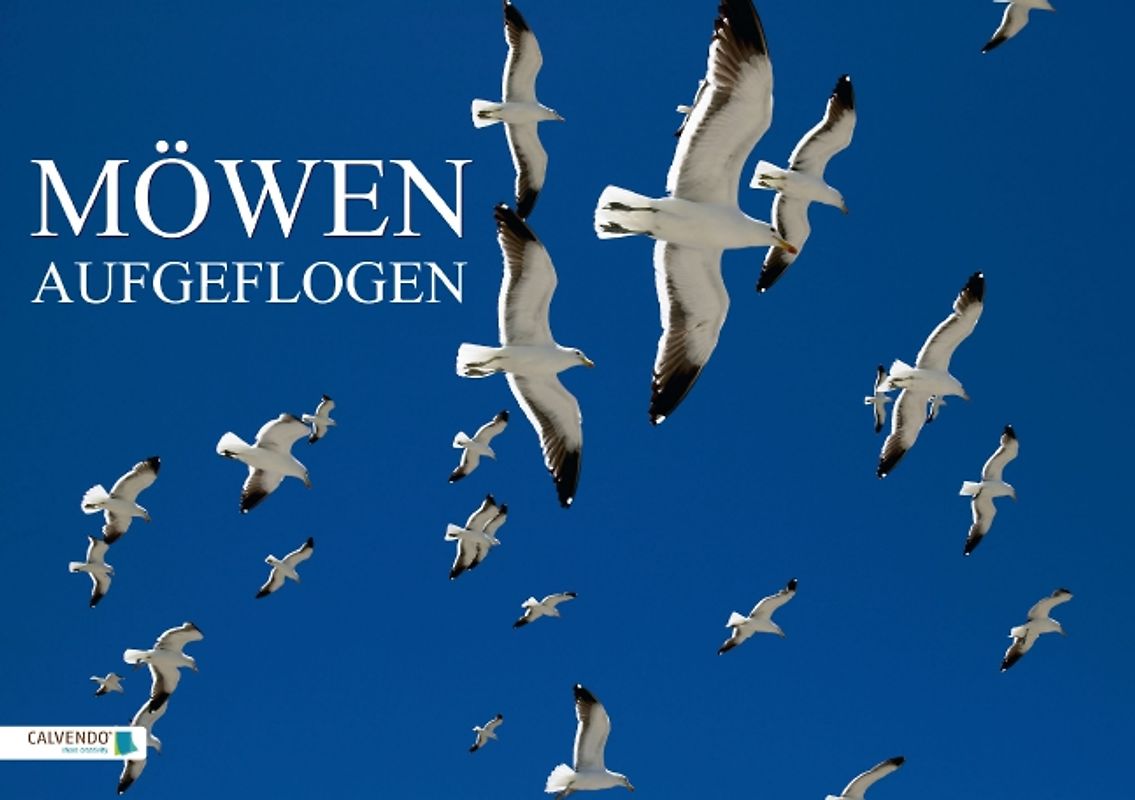 Möwen – Aufgeflogen (Tischaufsteller DIN A5 quer)