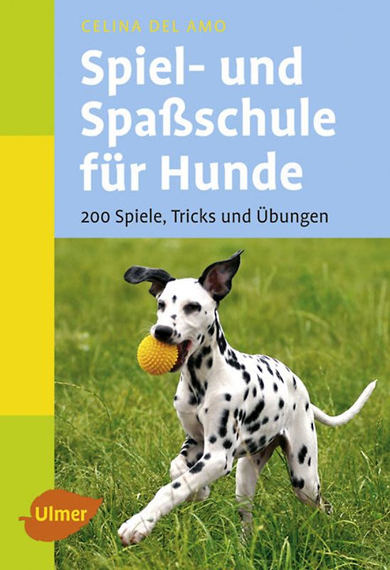 Spiel- und Spaßschule für Hunde