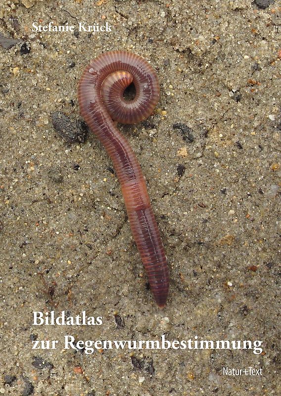 Bildatlas der Regenwurmbestimmung