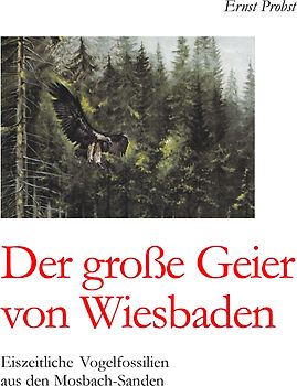 Der große Geier von Wiesbaden