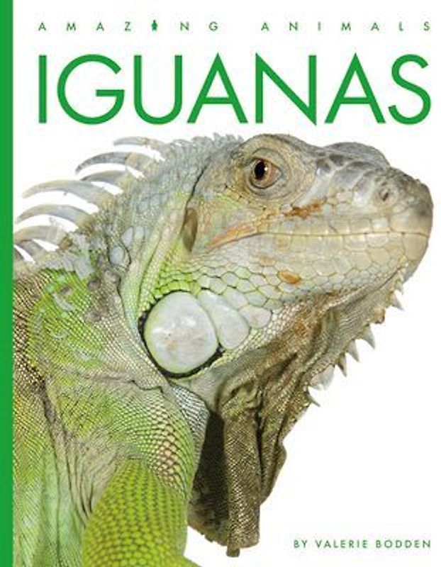 Iguanas