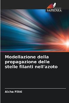Modellazione della propagazione delle stelle filanti nell'azoto