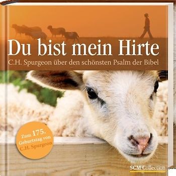 Du bist mein Hirte