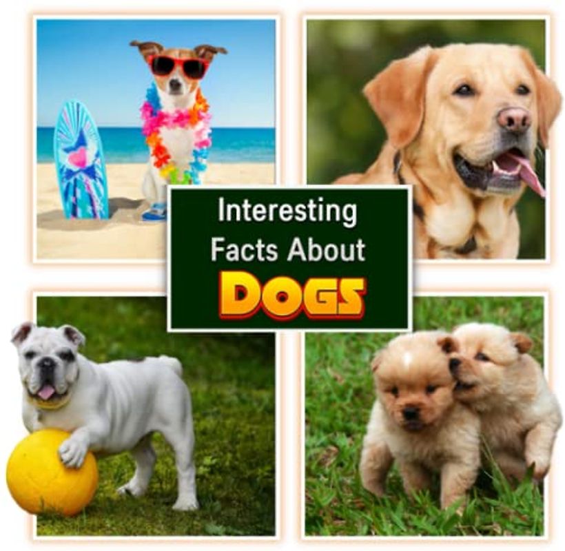 Interesting Facts About Dog: Children's Picture Book for Dog / Facts About Dog for Kids (A Colorful Picture Book for Kids)