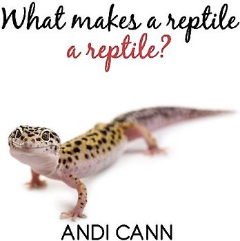 What Makes a Reptile a Reptile