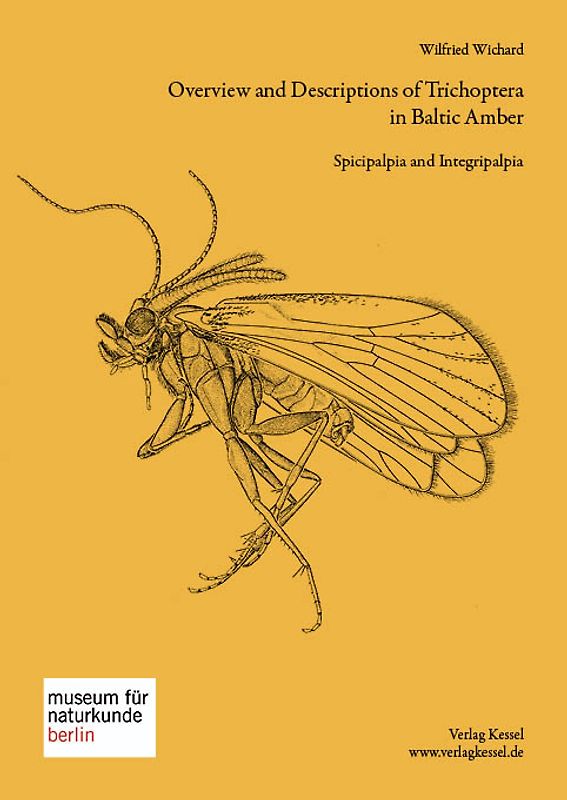 Overview and Description of Trichoptera in Baltic Amber