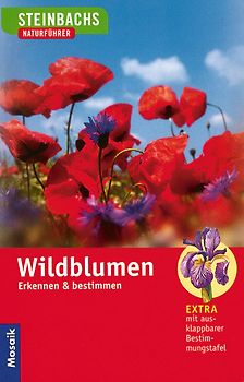 Wildblumen
