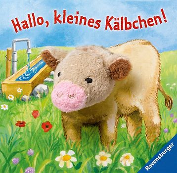 Hallo, kleines Kälbchen!