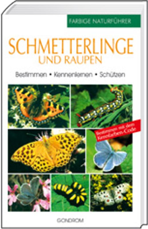 Schmetterlinge und Raupen