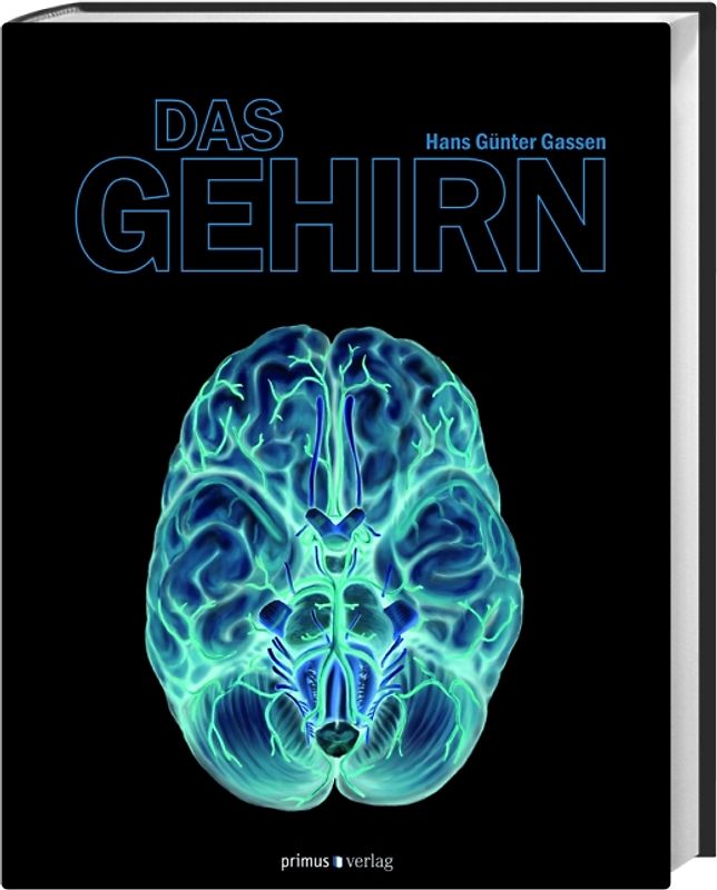 Das Gehirn