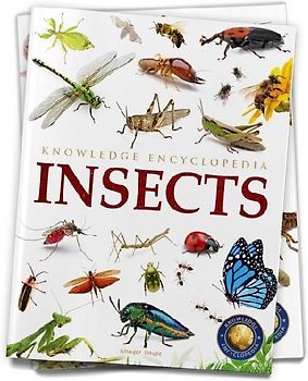 Animals: Insects
