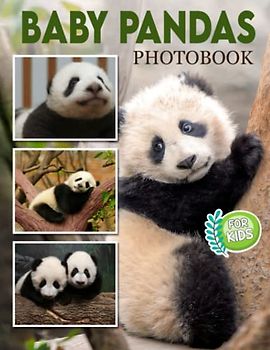 Baby Pandas Photobook: Photo Book Of Baby Pandas With 30+ Pictures, 2023 Photo Albums, Picture Book Birthday Gifts For Men Women Dad Mom