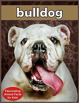 Bulldog Facts: Fascinating Animal Facts for Kids