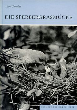 Die Sperbergrasmücke