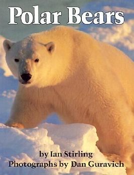 Polar Bears