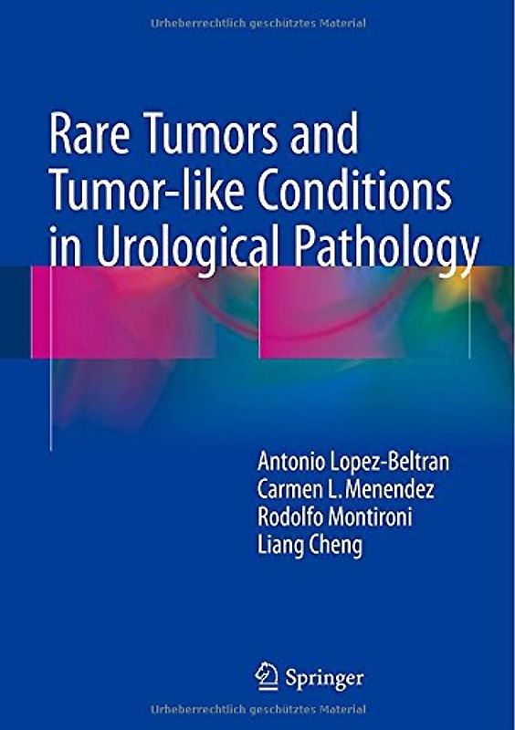 Rare Tumors and Tumor-like Conditions in Urological Pathology