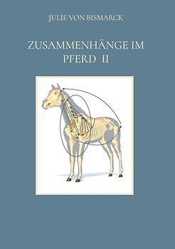 Zusammenhänge im Pferd II
