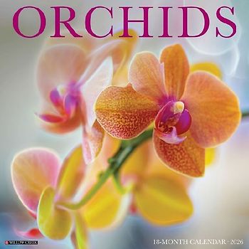 Orchids 12 X 12 Wall Calendar