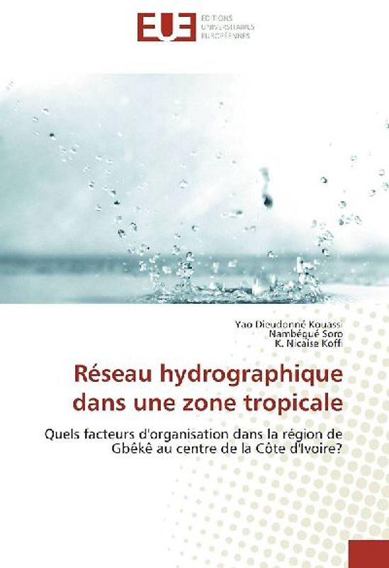 Réseau hydrographique dans une zone tropicale