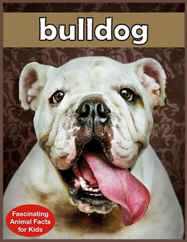 Bulldog Facts: Fascinating Animal Facts for Kids