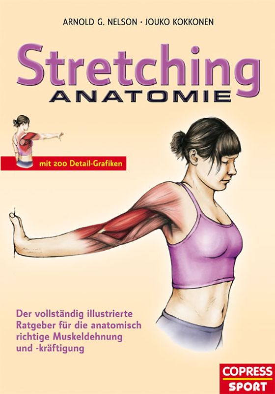 Stretching Anatomie