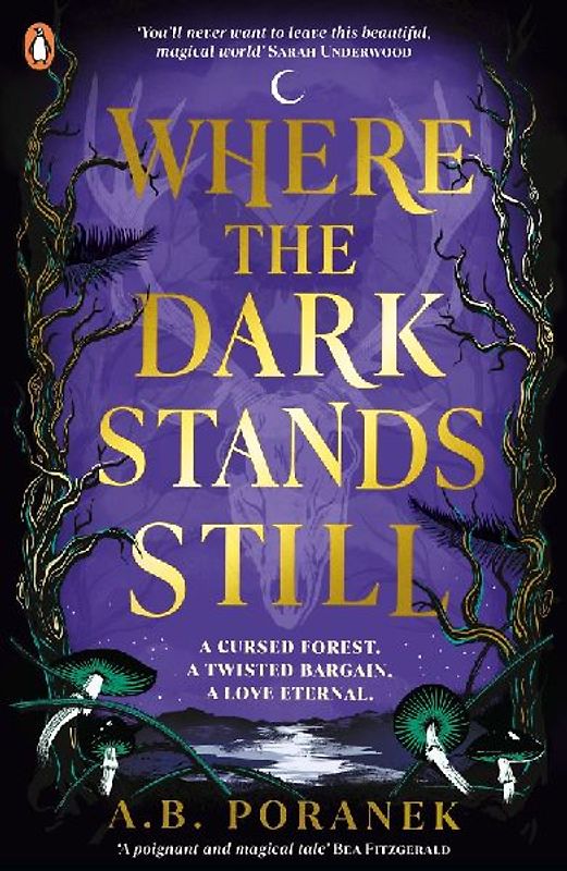 Where the Dark Stands Still