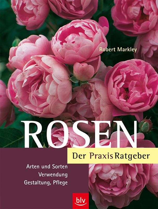 Rosen - Der Praxis-Ratgeber
