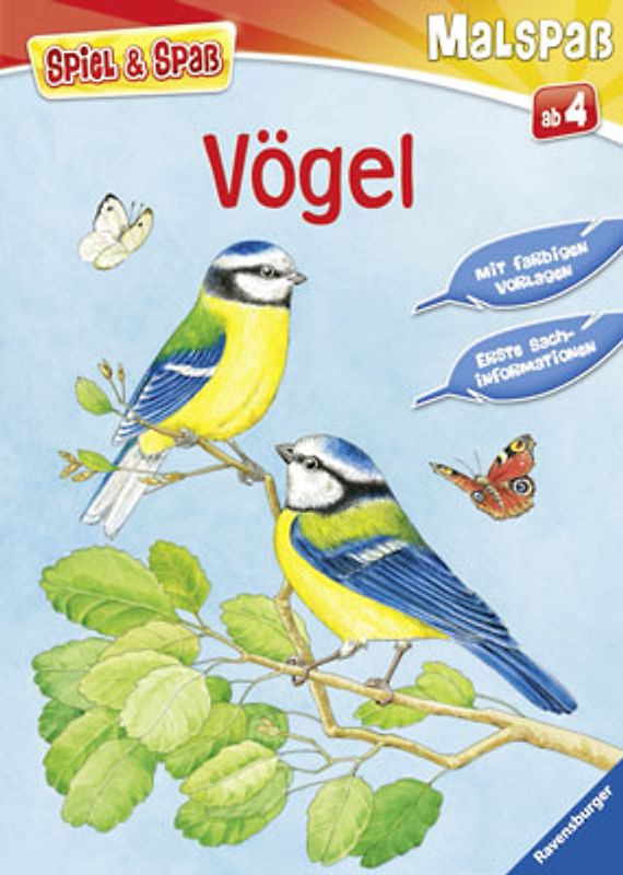 Vögel