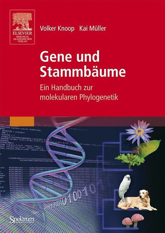 Gene und Stammbäume