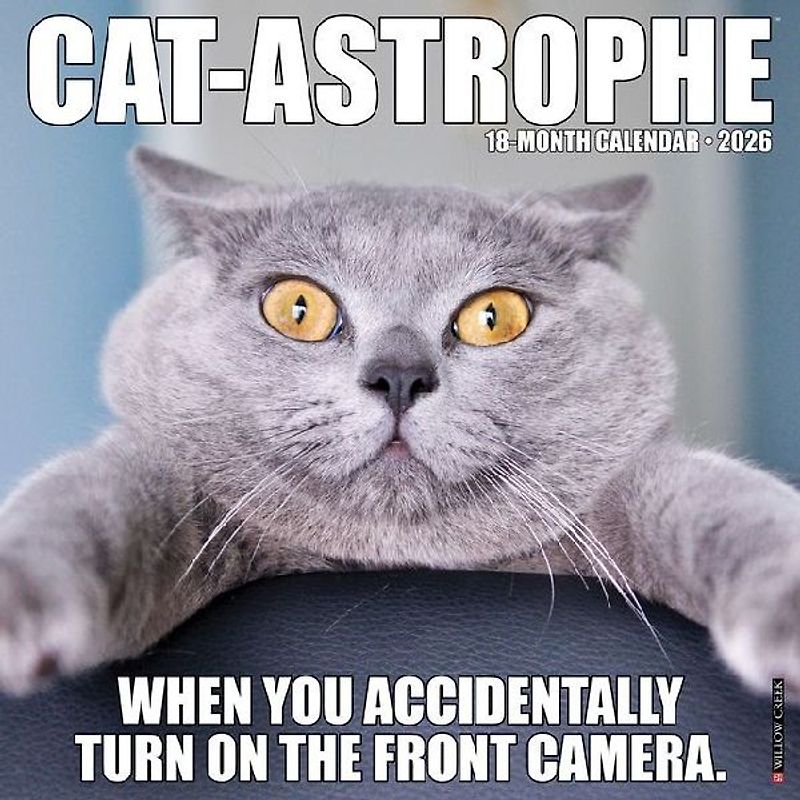 Cat-Astrophe 2026 12 X 12 Wall Calendar