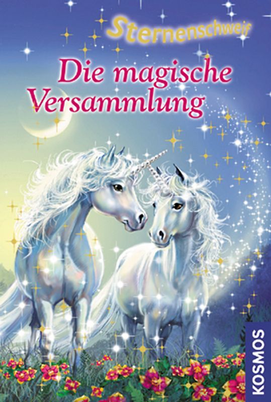 Die magische Versammlung