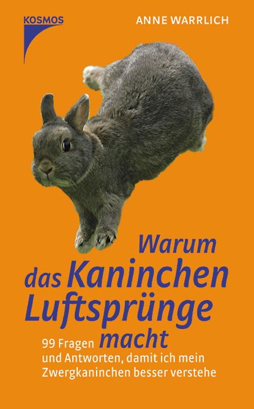Warum das Kaninchen Luftsprünge macht