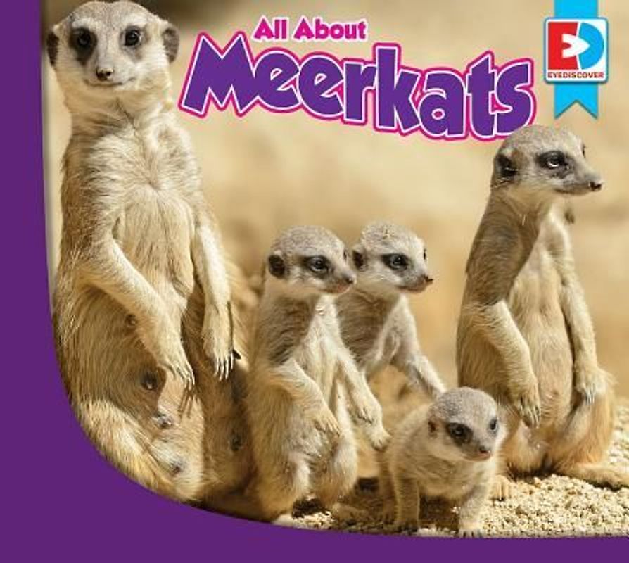All about Meerkats