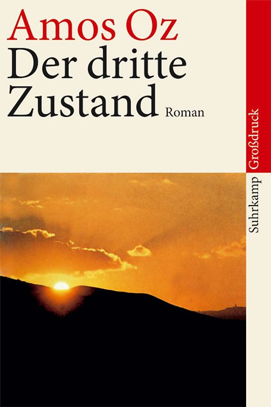 Der dritte Zustand