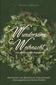 Wundersame Weihnacht – Die geheimnisvolle Begegnung: Geschichten und Märchen zur Weihnachtszeit
