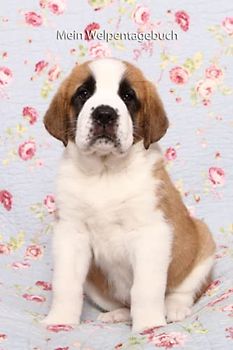 Mein Welpentagebuch: die ersten Monate mit meinem Bernhardiner (Bernhardiner - alle Bücher: Trainingstagebuch, Krankenakte, BARF Planer und Welpentagebuch, Band 3)