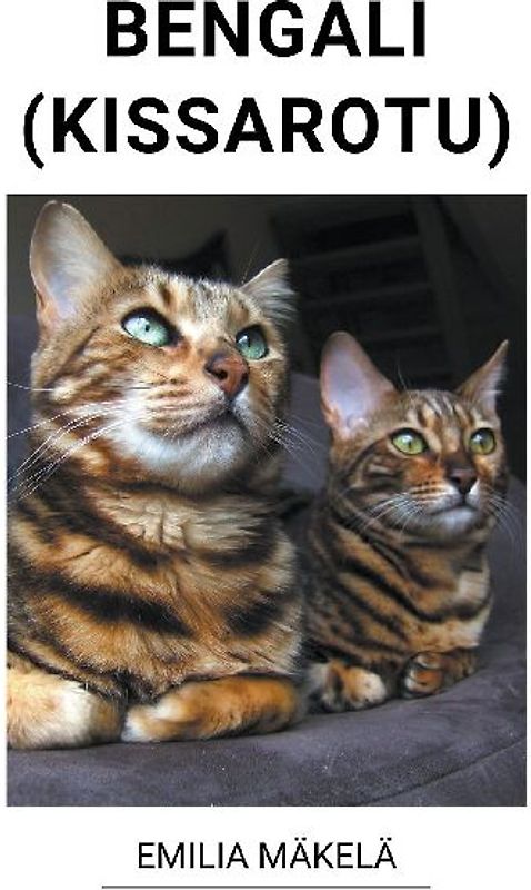 Bengali (Kissarotu)