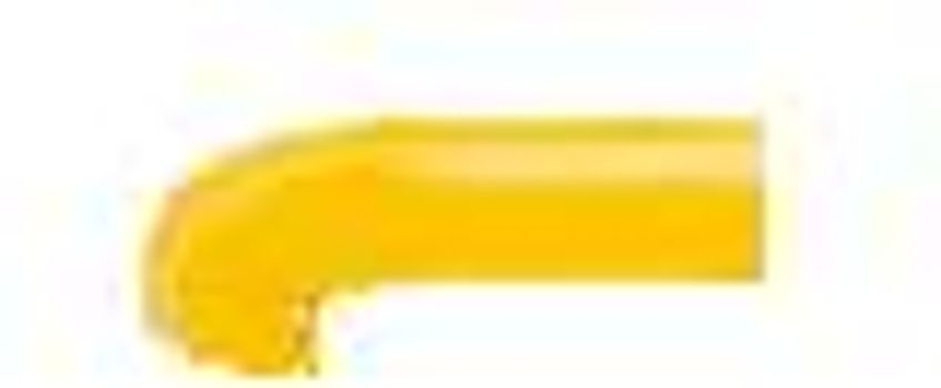 Die Tierkinder-Bibliothek - Der kleine Schimpanse wird groß