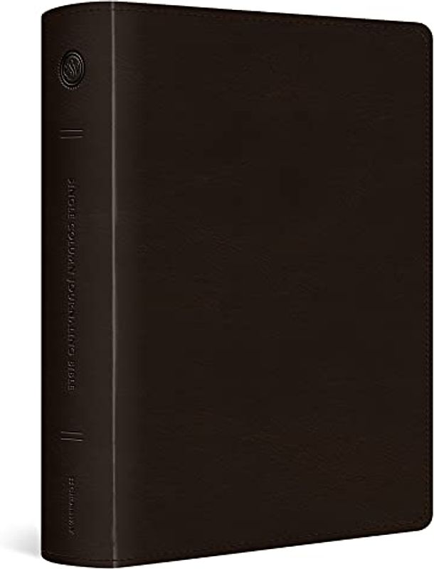 ESV Single Column Journaling Bible, Large Print (Trutone, Deep Brown)