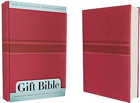NIrV, Gift Bible, Leathersoft, Pink: New International Reader's Version, Hot Pink, Italian Duo-Tone Gift
