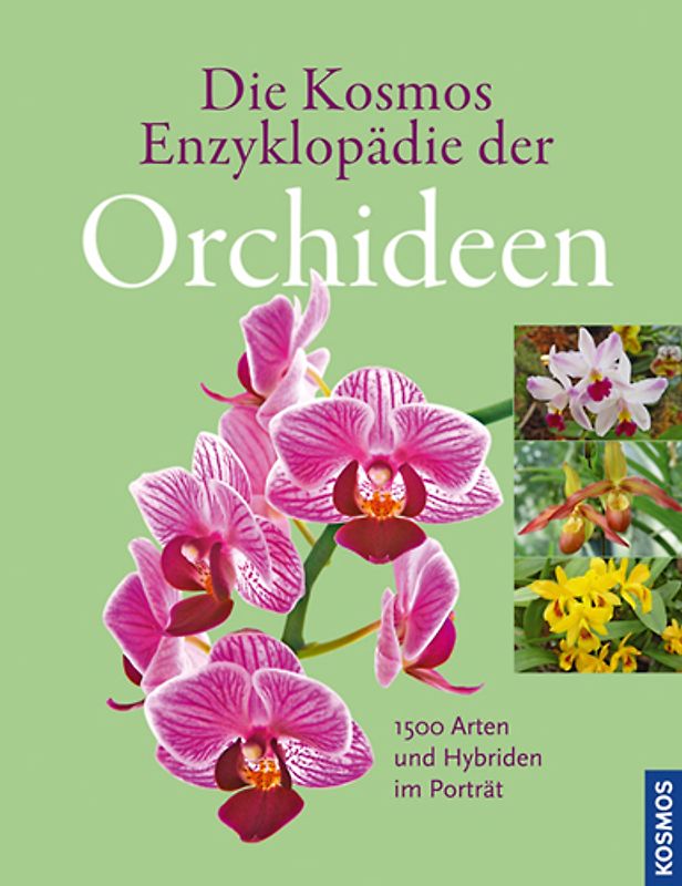 Die Kosmos Enzyklopädie der Orchideen