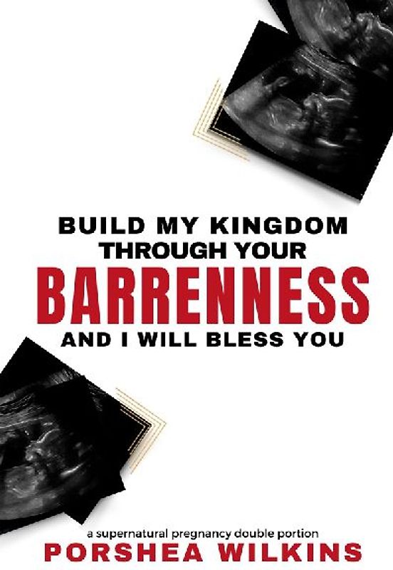Build My Kingdom Through Your Barrenness and I Will Bless You